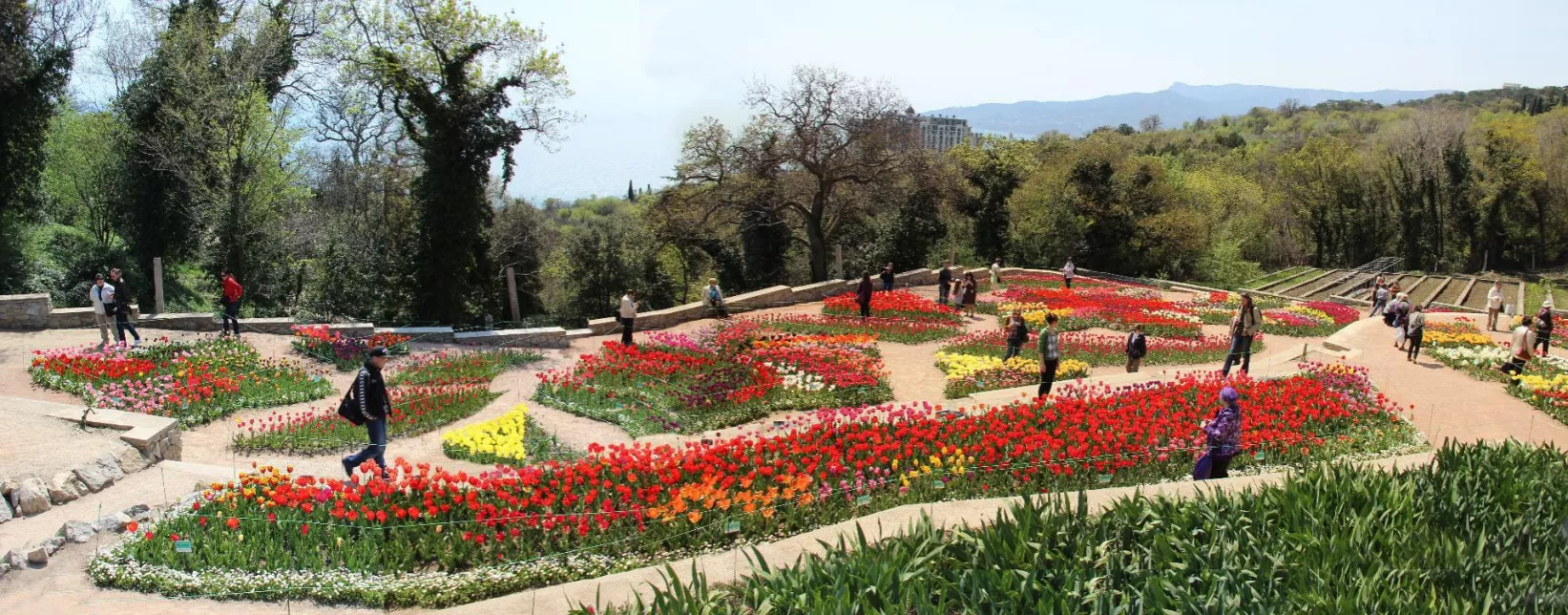 Никитский ботанический сад в Крыму